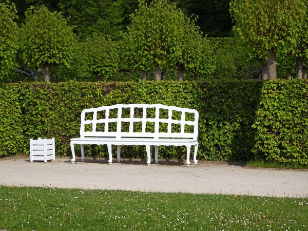 BENCH AT THE HEDGE