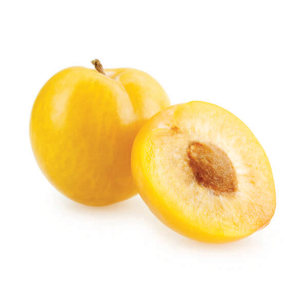 Brzoskwinia Prunus persica "Reliance"